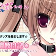 《妹调教日记》(Sister tuning diary)完整汉化版[安装包/CG包]